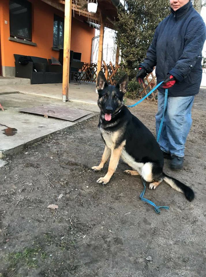 27657164_958510470969173_6237069495216697865_n