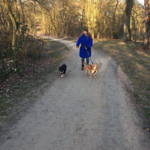 28379822_970704439749776_52975698793251821_n