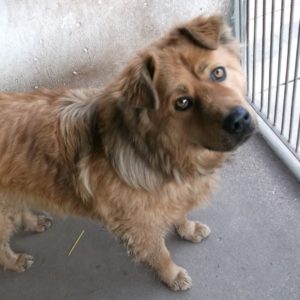 Mafla Mackó7 Mafla Mackó7