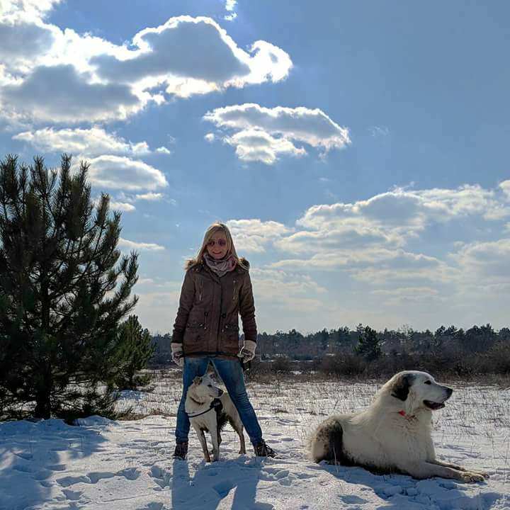 28795047_975840369236183_1444673537223026288_n