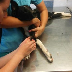 29313689_982568105230076_7650705195181015040_n 29313689_982568105230076_7650705195181015040_n