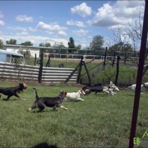 29314625_982568885229998_2018958302150393856_n 29314625_982568885229998_2018958302150393856_n