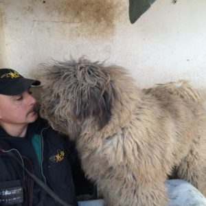 29342196_982567665230120_4842316884525187072_n 29342196_982567665230120_4842316884525187072_n