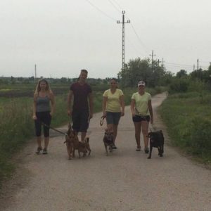 29343286_982567721896781_7840115155605127168_n 29343286_982567721896781_7840115155605127168_n