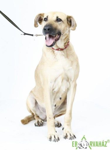 29356694_983168371836716_7842888295729070080_n