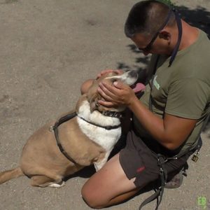 29366312_982568601896693_3458581578278502400_n 29366312_982568601896693_3458581578278502400_n