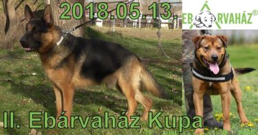 29496134_984757545011132_4438202977852850176_n