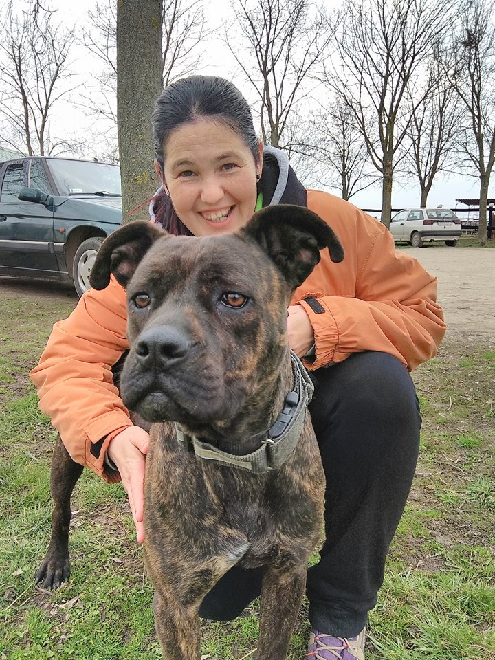 29664179_605526596464912_503405102_n