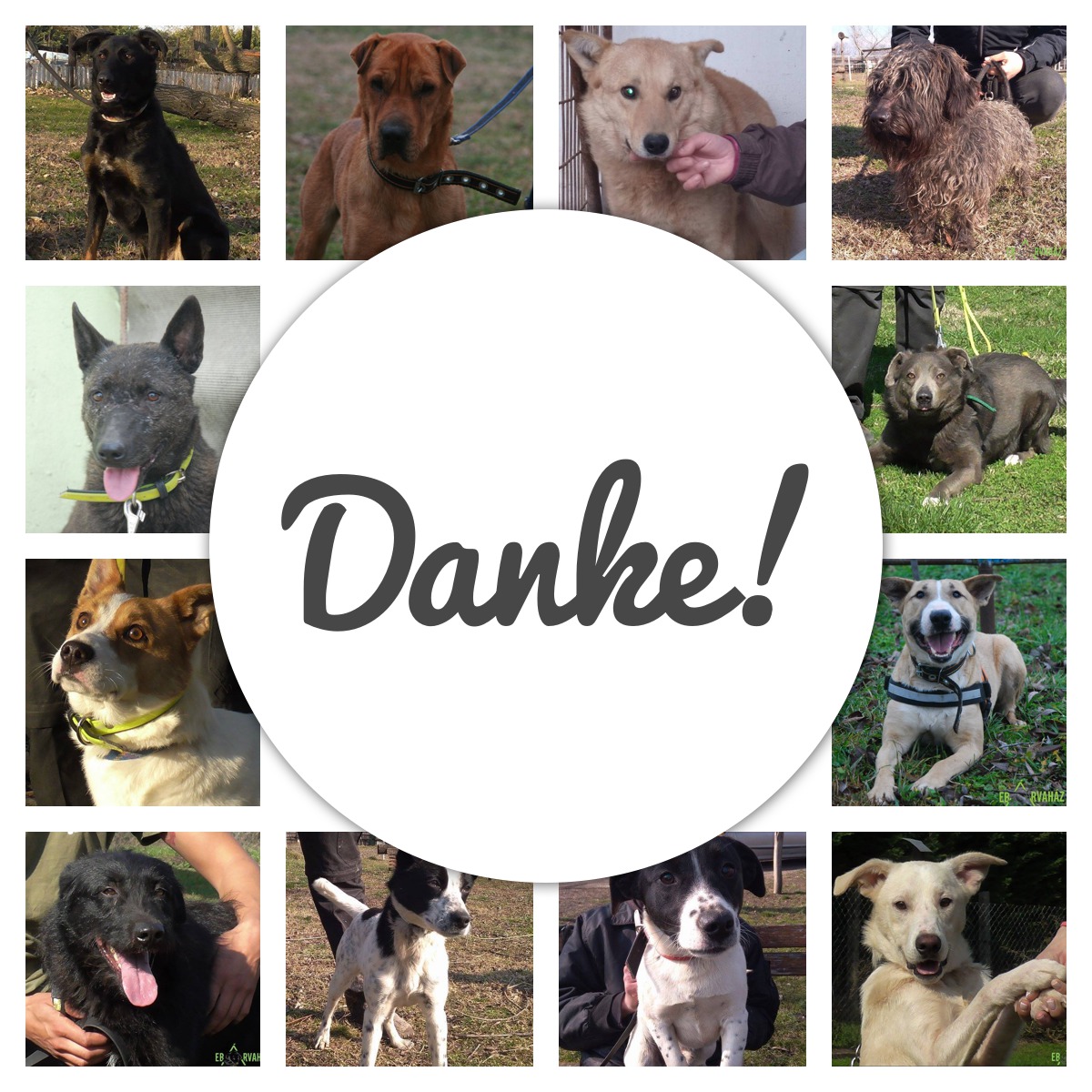 Danke! február 2018