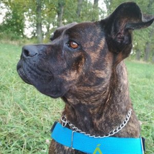 Ranielle21 Ranielle21