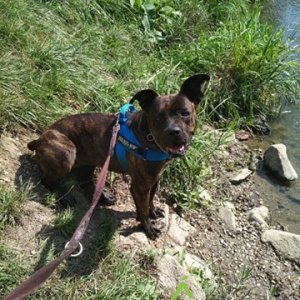 Ranielle26 Ranielle26