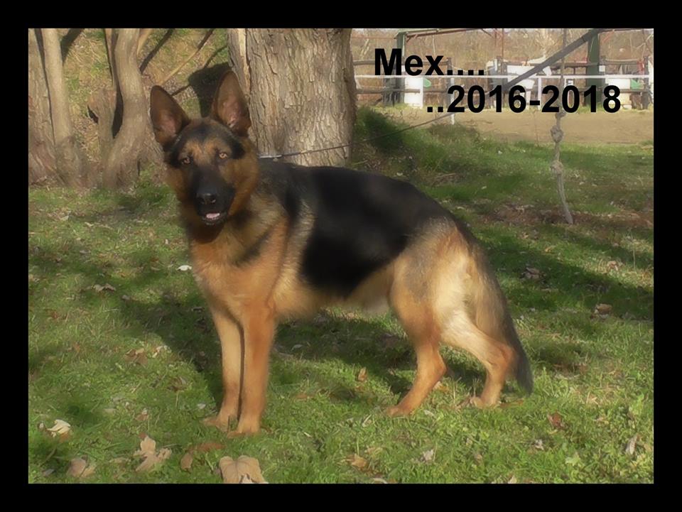 21768108_991970604289826_2565984744974219623_n