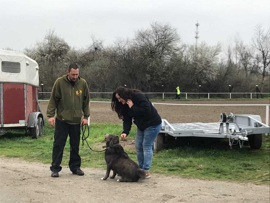 30126282_1457529027705957_1338038420_o