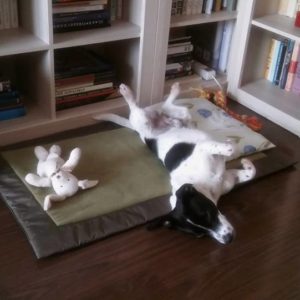 30714214_999425210211032_8873289411471605760_n