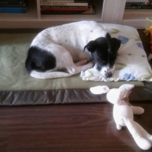 30726560_999425163544370_8171516700475260928_n