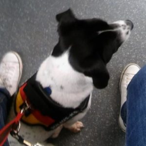 30727331_999425146877705_1224595433511190528_n