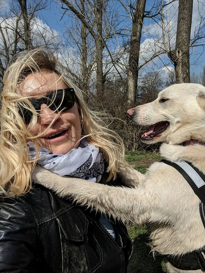 31144164_1001483823338504_6387924822348791808_n