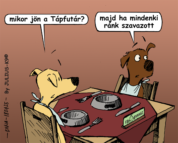 31286661_1002516776568542_4854828789978365952_n