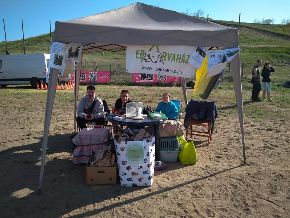 31484322_1004018413085045_3995631225342525440_n