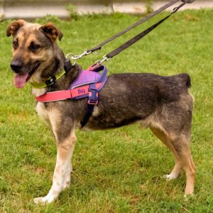 44_ebarvahaz_-152 44_ebarvahaz_-152