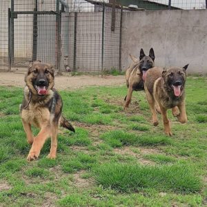 Leila-Leon-Leni2 Leila-Leon-Leni2