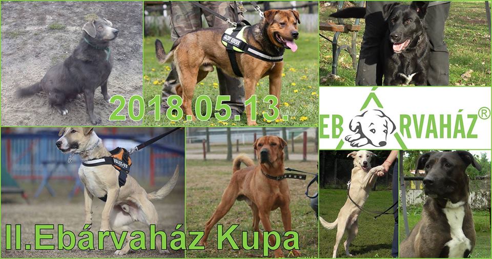 29793726_992798500873703_8209199914601676800_n