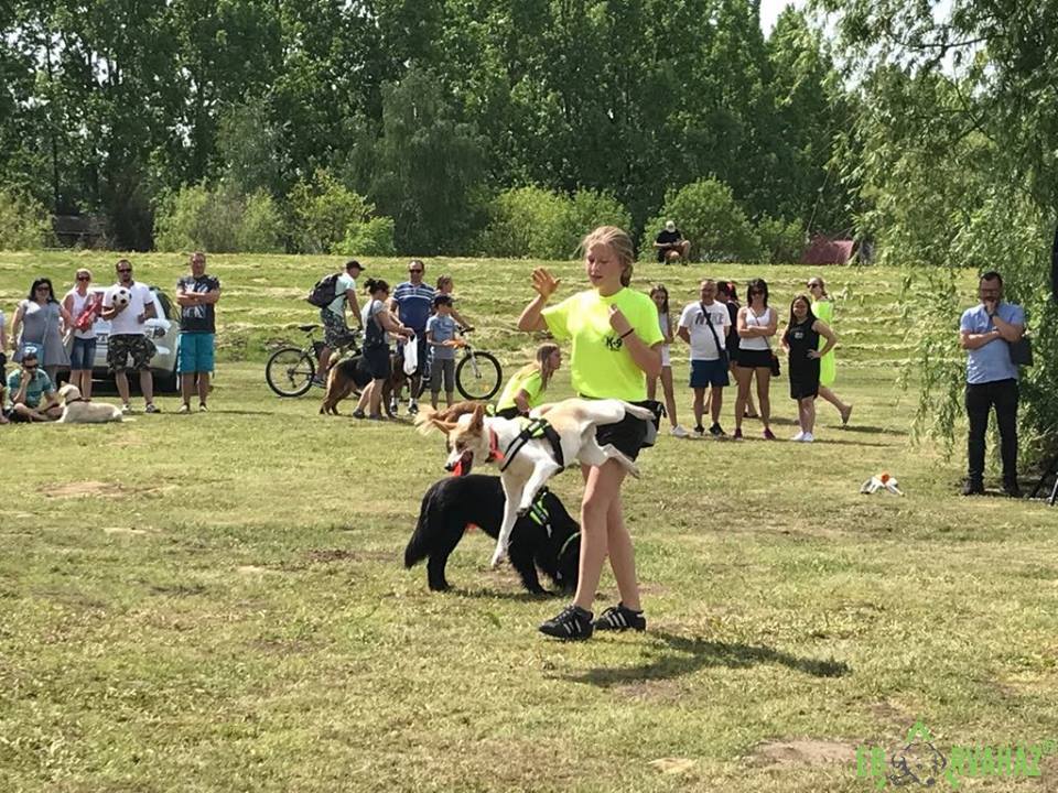 31899075_1006835039470049_3224235041483653120_n