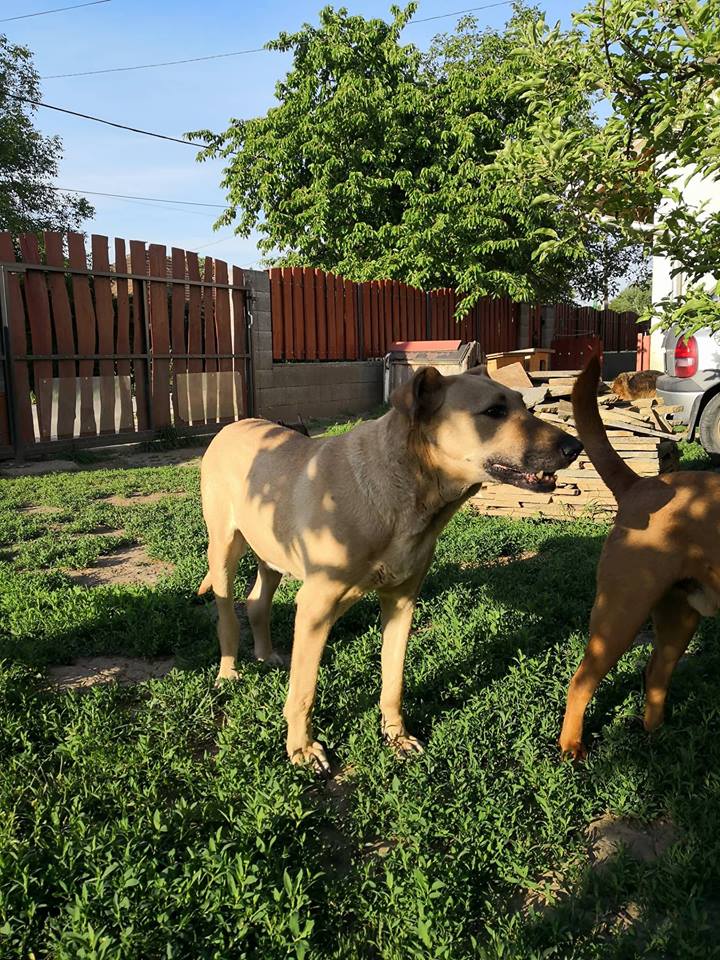 31899971_1007436752743211_6017586912154353664_n