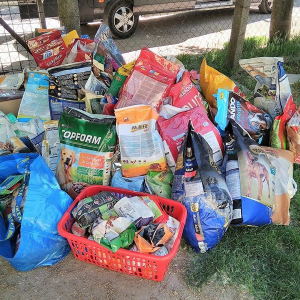 32150007_1010278162459070_8414623291221737472_n