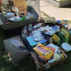 32207652_1010277995792420_5767908506048921600_n