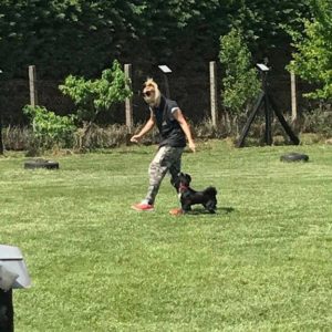 32368257_1012738992212987_2931823922691178496_n