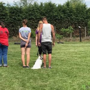 32378522_1012739152212971_1987365003757355008_n