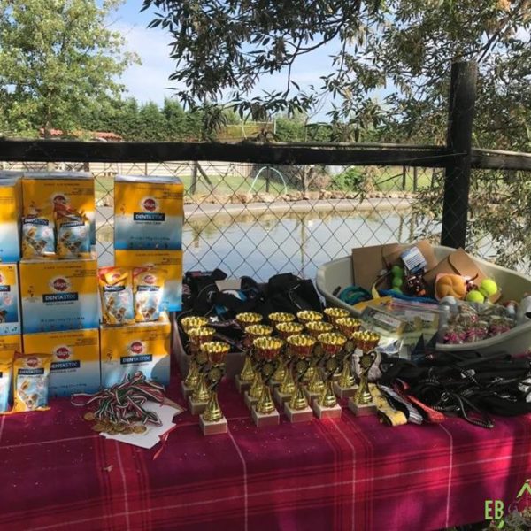 32387295_1012739312212955_6313061403485798400_n