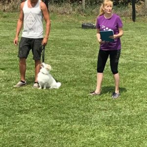 32392136_1012738872212999_5175377038390853632_n