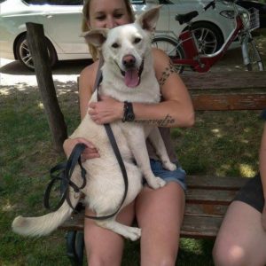 32402334_1012739638879589_687344949481439232_n