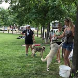 32440489_1012740478879505_4120019731707068416_n