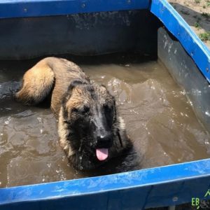 32464419_1012739468879606_3913834415003795456_n