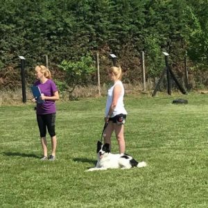 32471992_1012739022212984_6349838048800276480_n