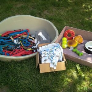 32472069_1012739225546297_7297231091822231552_n