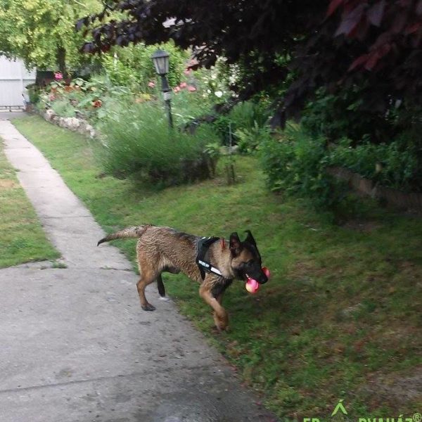 33980219_1020235401463346_6606843540263665664_n