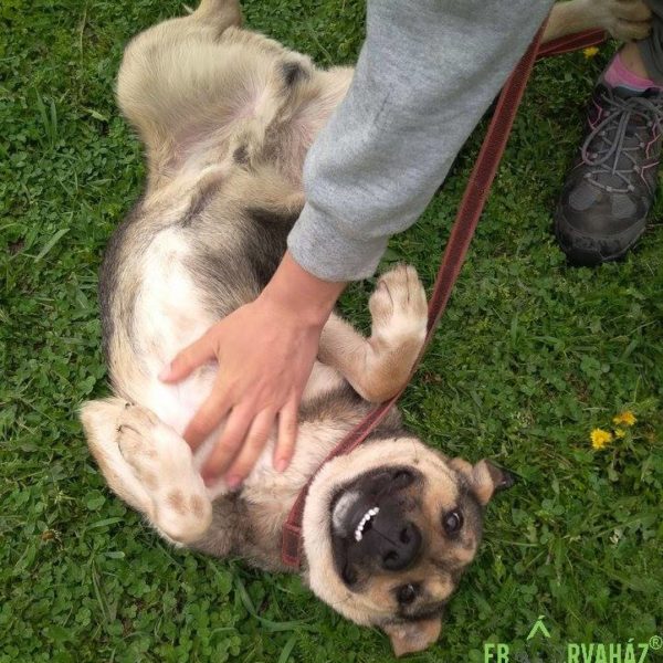 34048646_1021770057976547_7708613079591813120_n