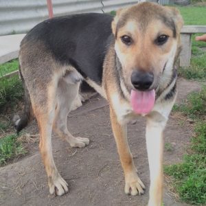 Prücsök3 Prücsök3