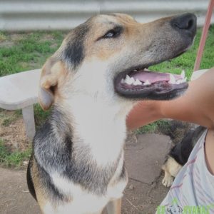 Prücsök4 Prücsök4