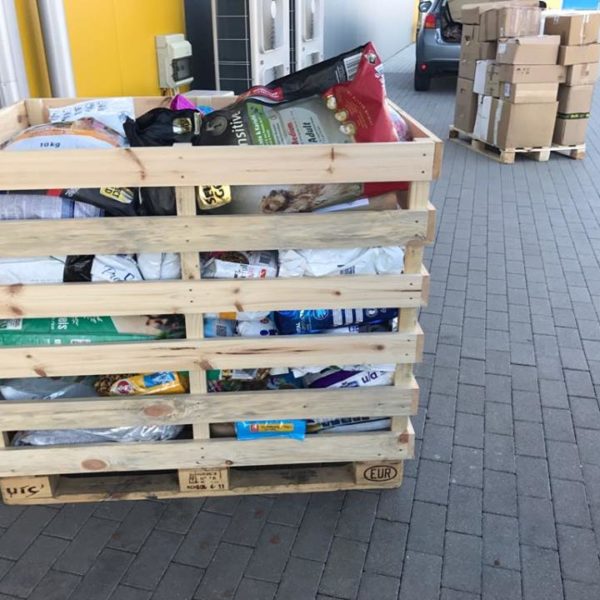 34369157_1023721861114700_4257840198534037504_n