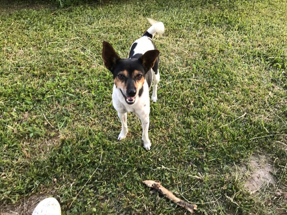 34396682_1024496567703896_3638208895987482624_n