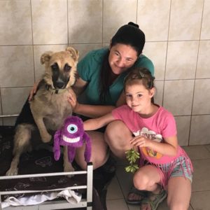 34400264_1023722047781348_6388700678126043136_n