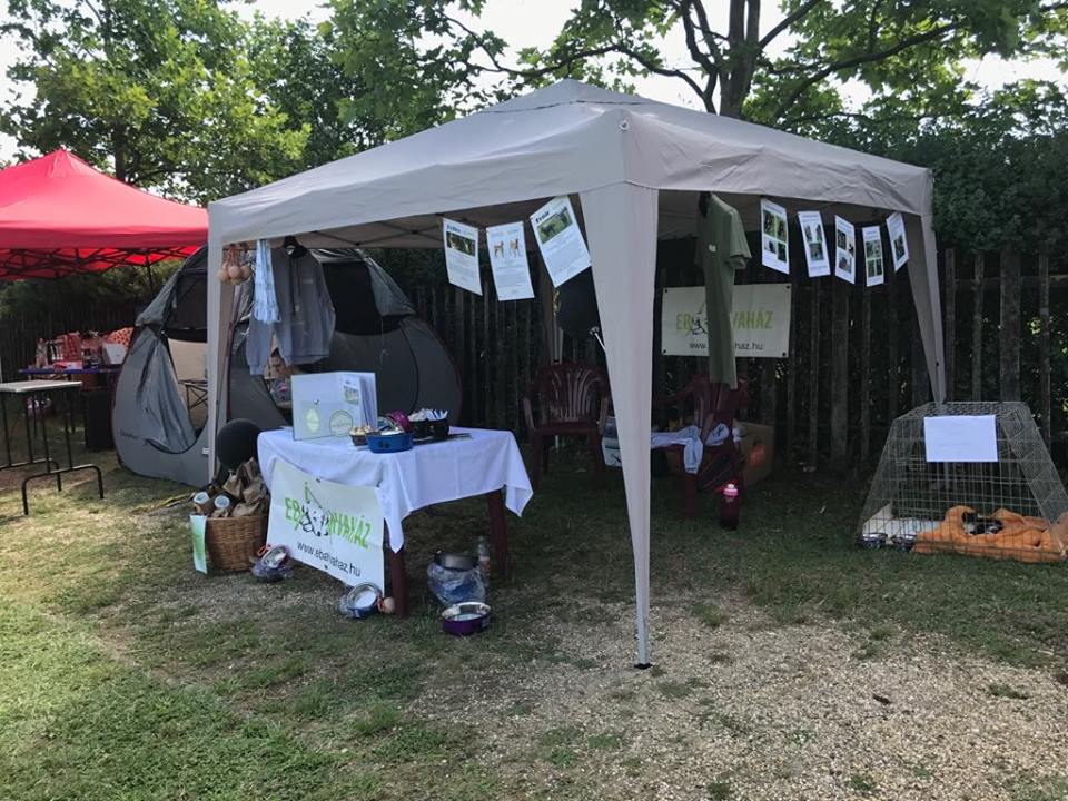 35544048_1034555720031314_6468677672166752256_n