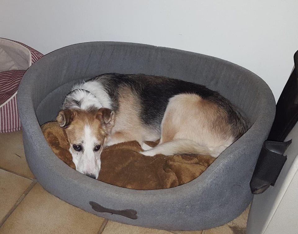 36919691_1057959271024292_4492620402471731200_n