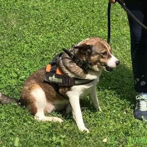 JigglyPuff4 JigglyPuff4