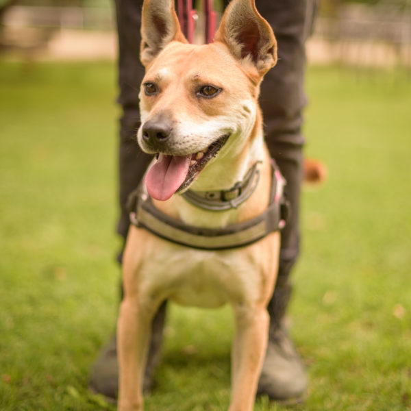 15_Ebarvahaz_fotozas (136 of 340)